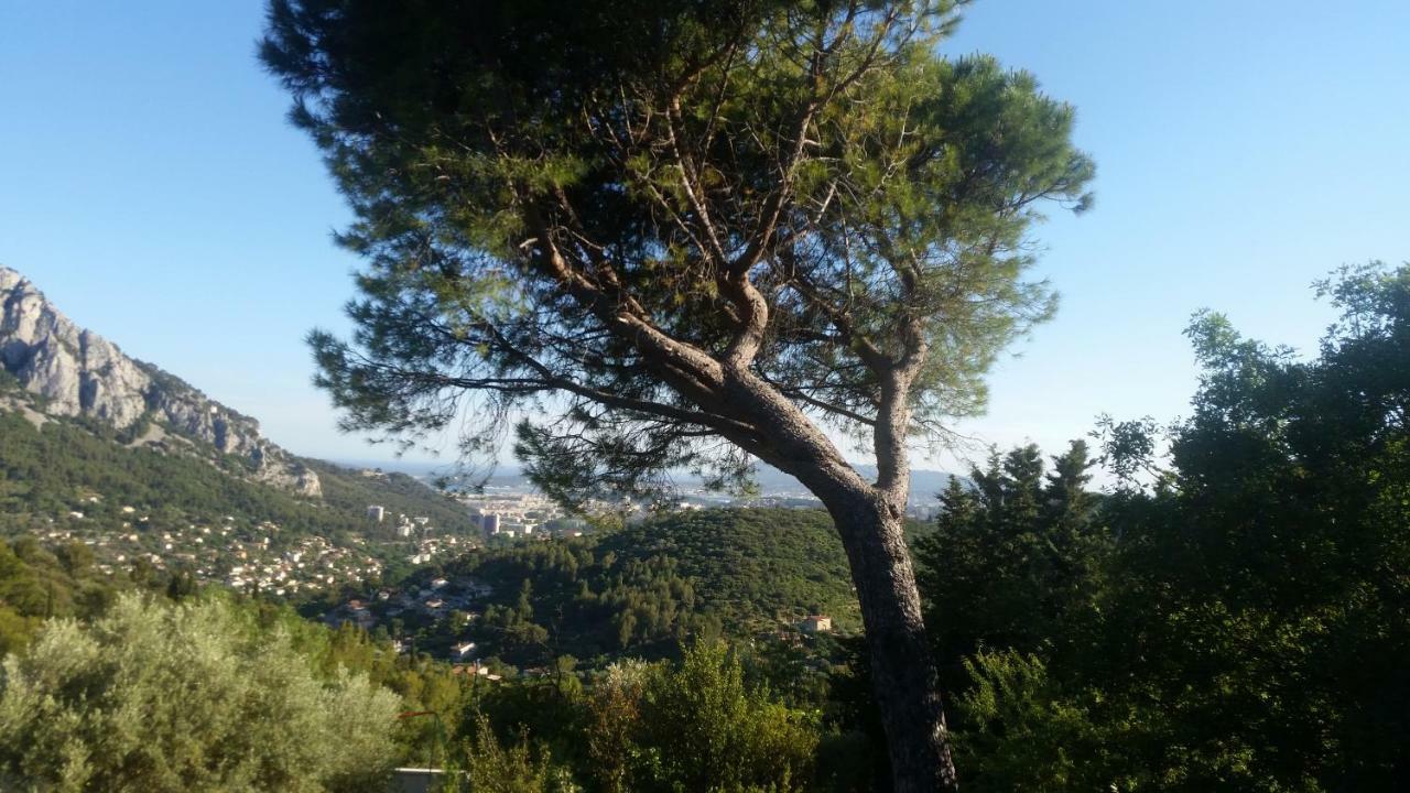 Bienvenue Apartment Le Revest-le-Eaux Екстериор снимка